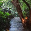 不想上班