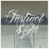 Instinct of Sight - 过
