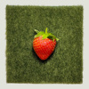 Strawberry (Official)