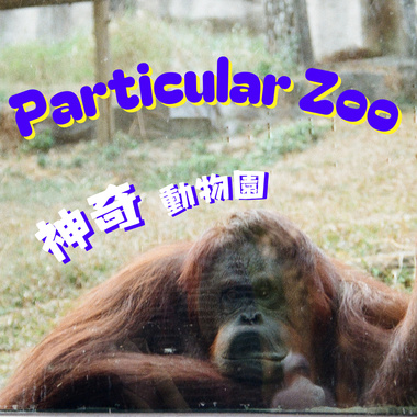 Particular Zoo 神奇动物园 (Demo)