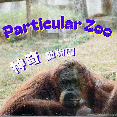 Particular Zoo 神奇动物园 (Demo)