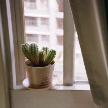 时间・记忆・幻觉 (Demo)