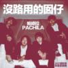 04.没路用的囡仔-帕崎拉PACHILA / 2021铁玫瑰热音赏得奖合辑