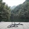 正常