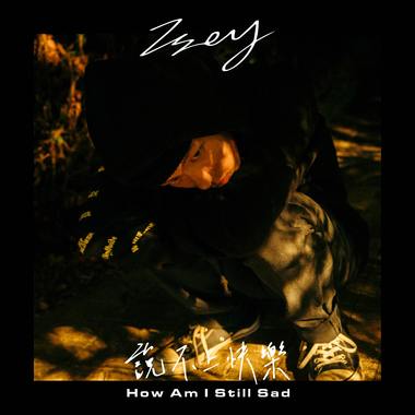 说不上快乐(How Am I Still Sad)