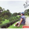 wubine乐团-千言万语