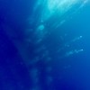 梦 test