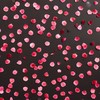 诚与谎 demo