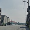 麦田少年