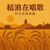 稻浪在唱歌