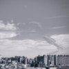 坠梦者