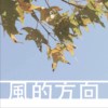 风的方向 (Direction Of The Wind)