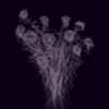 withered flowers