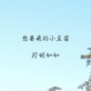 想要飞的小豆苗