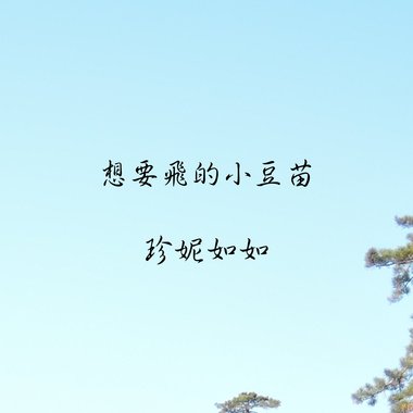 想要飞的小豆苗