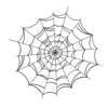 Part 1:Spider