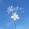 橘子花般的（Anchor）