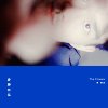 伪造自述 The Forgery - Intro