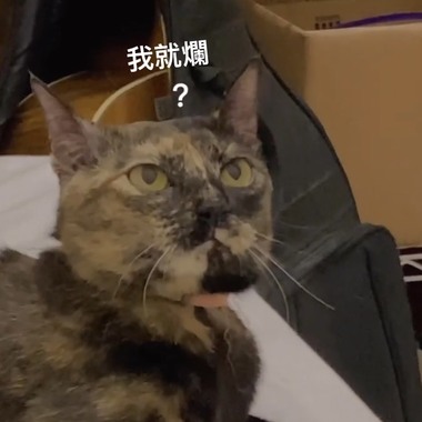 该怎么留下你