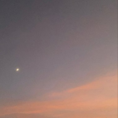 他