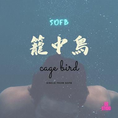 笼中鸟 Cage Bird X Music ver. feat JIM