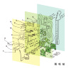 5 (1)-cutmp3.net