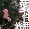 Unconditional Love Demo