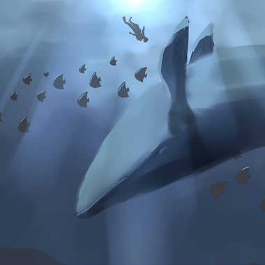 Whale Fall鲸落