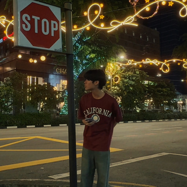 圣诞节 still alone 🎄 (demo)