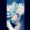 Lucky (demo)