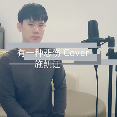 有一种悲伤 Cover