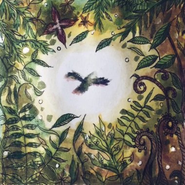 Bird of Paradise