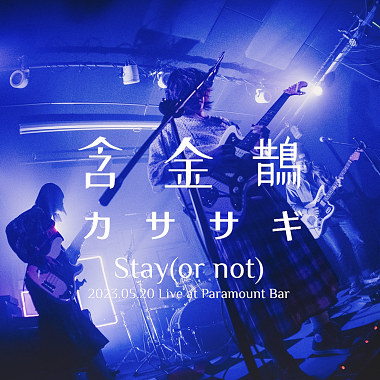 含金鹊カササギ － Stay(or not)    (2023.05.20 小满Live at 百乐门 )