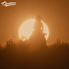 Lone Ranger