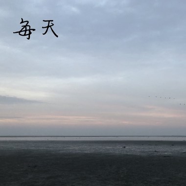 每天
