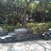 伤落 demo