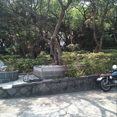 伤落 demo