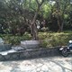 伤落 demo