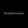 How Much I Love You,How I Wish You Loved Me(demo)