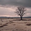 Mother Earth Crying