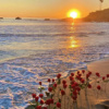 Sunrize Time