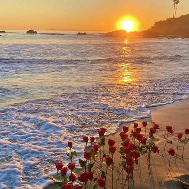 Sunrize Time