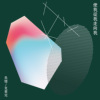 这些日子以来