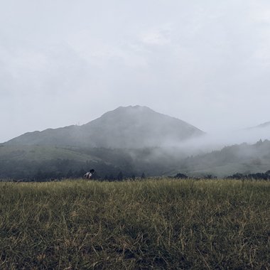 时雨＿Demo