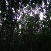 被遗忘的灵路指南 2021 Demo