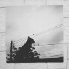 孤岛2019