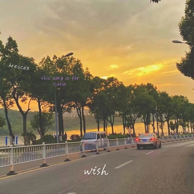wish