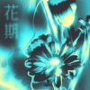 花期