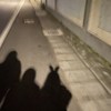 重拾 demo