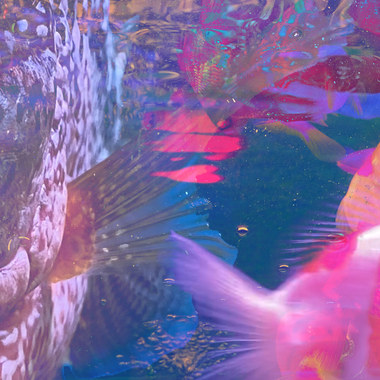 🧬哞🧬